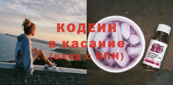 гашик Краснослободск