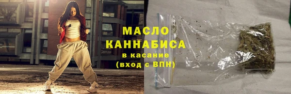 гашик Краснослободск