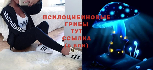 не бодяженный Кукмор