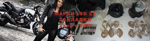 гашик Краснослободск