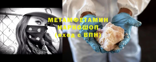 прущие грибы Краснотурьинск