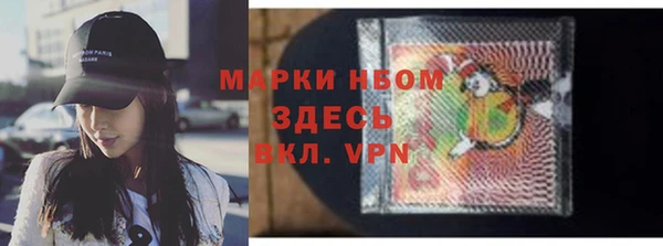 прущие грибы Краснотурьинск