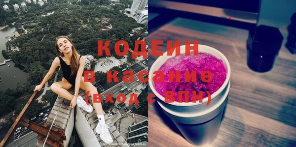 ешки Корсаков