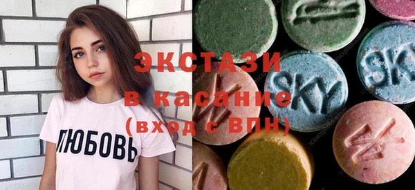 гашик Краснослободск