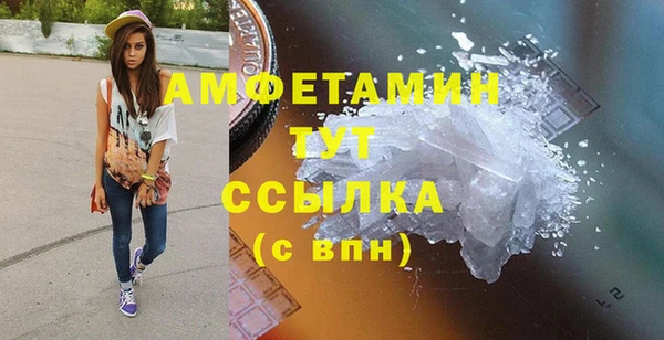 прущие грибы Краснотурьинск