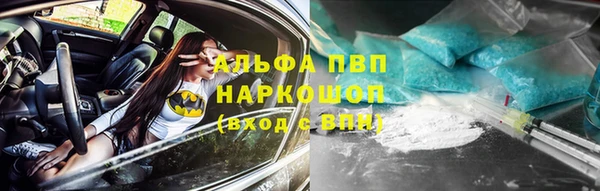 гашик Краснослободск